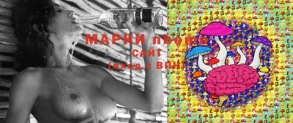 ГАЛЛЮЦИНОГЕННЫЕ ГРИБЫ Вяземский