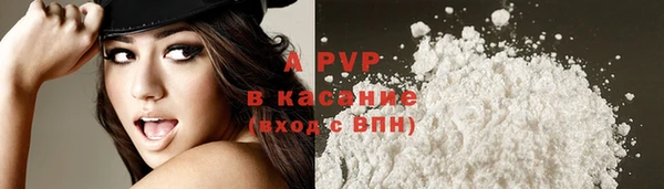ГАЛЛЮЦИНОГЕННЫЕ ГРИБЫ Вяземский