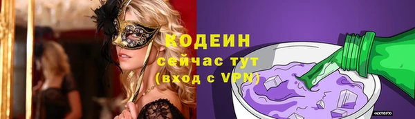 ГАЛЛЮЦИНОГЕННЫЕ ГРИБЫ Вяземский