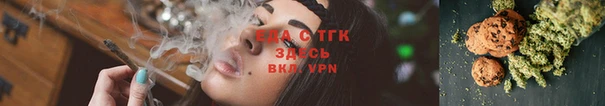 ГАЛЛЮЦИНОГЕННЫЕ ГРИБЫ Вяземский