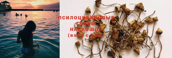 ГАЛЛЮЦИНОГЕННЫЕ ГРИБЫ Вяземский