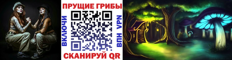 Купить  Урай  Псилоцибиновые грибы ЛСД 